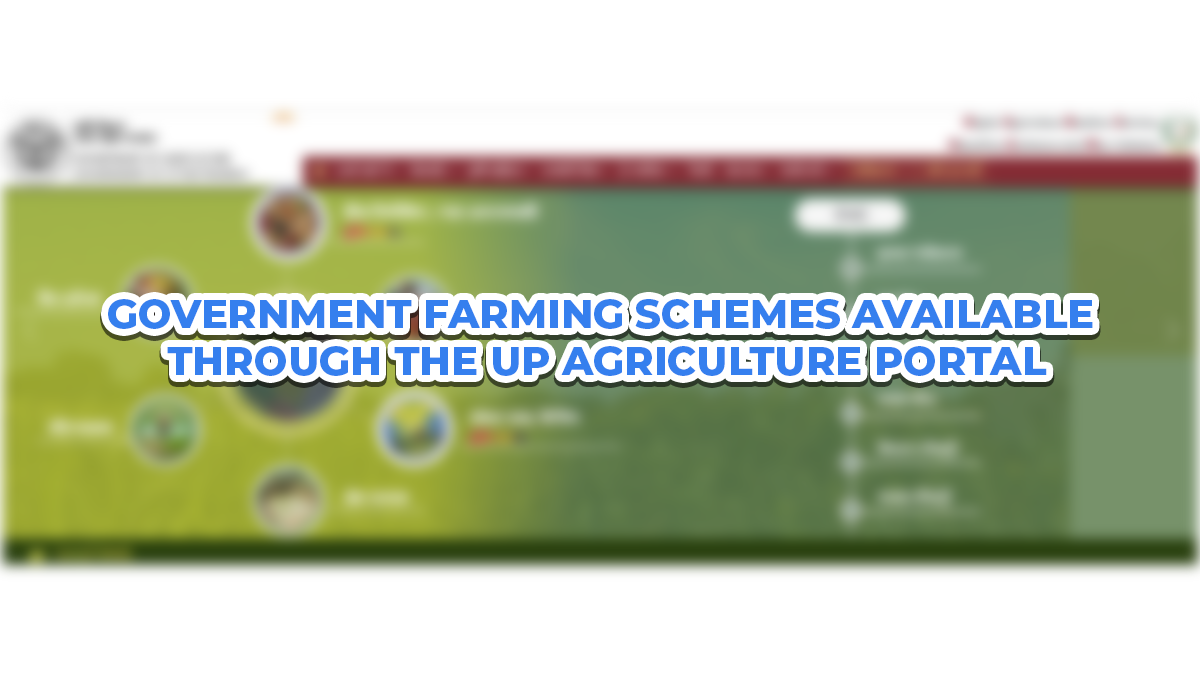 Government Farming Schemes Available Through the UP Agriculture Portal
