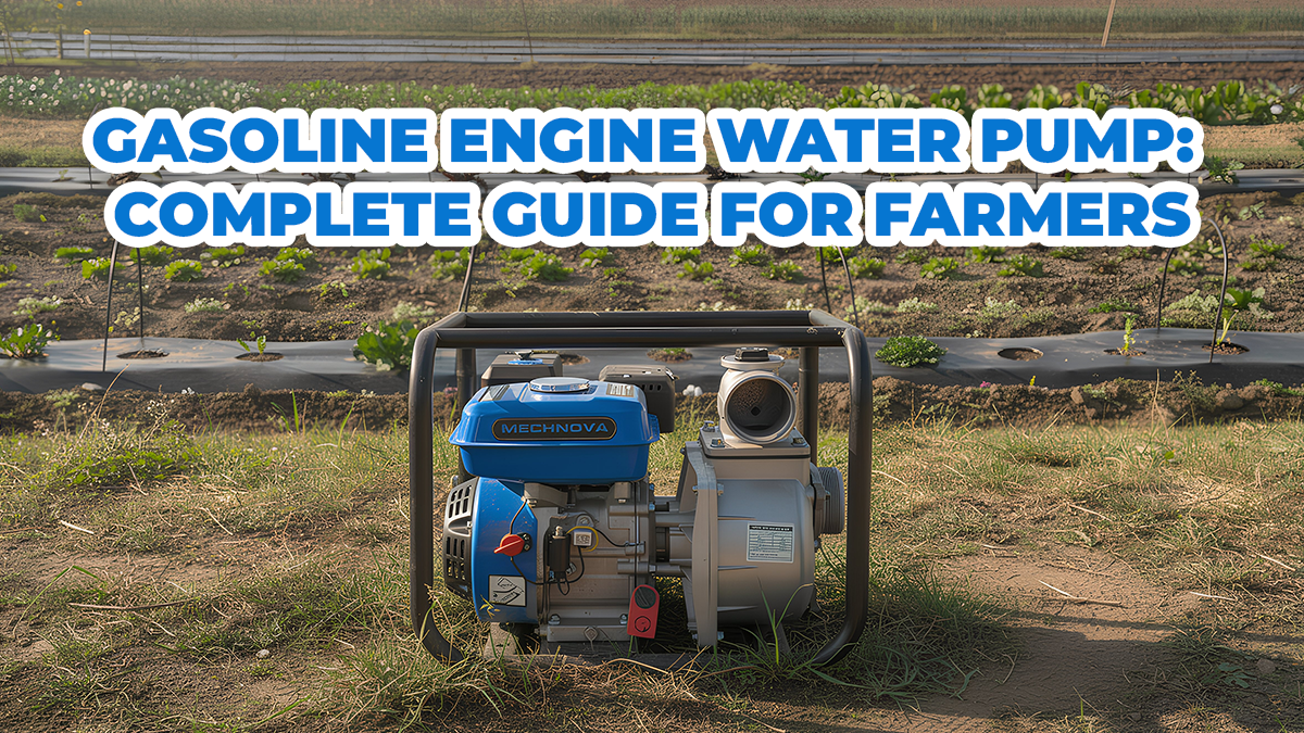 Gasoline Pump Engine