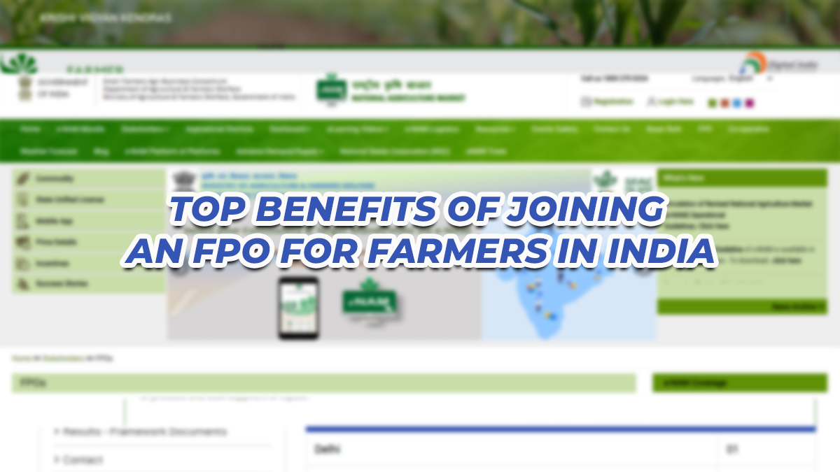 Top Benefits of Joining an FPO for Farmers in India