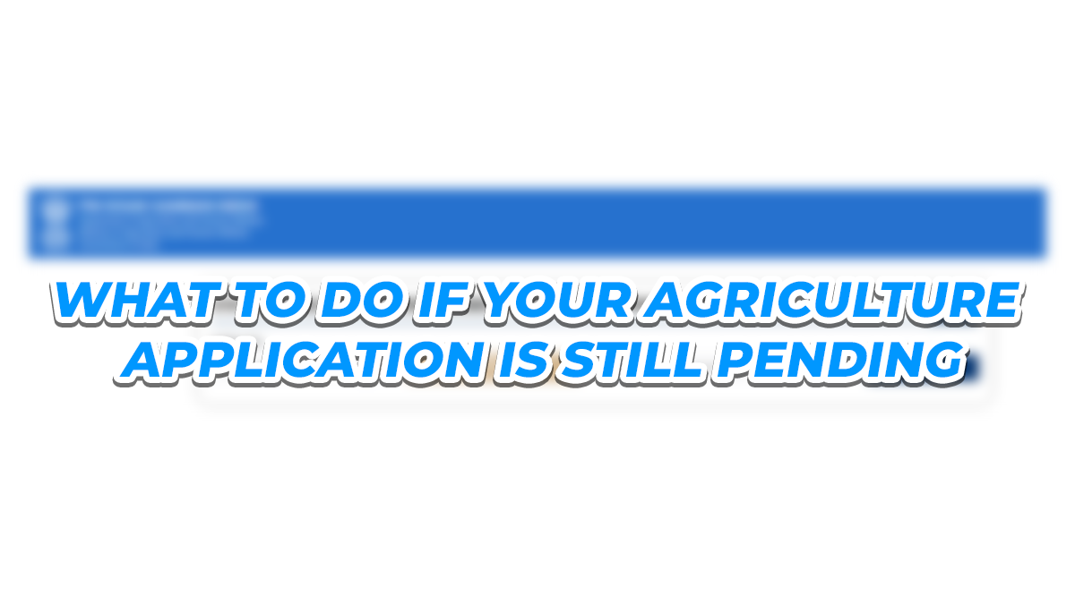 What to Do If Your Agriculture Application Is Still Pending