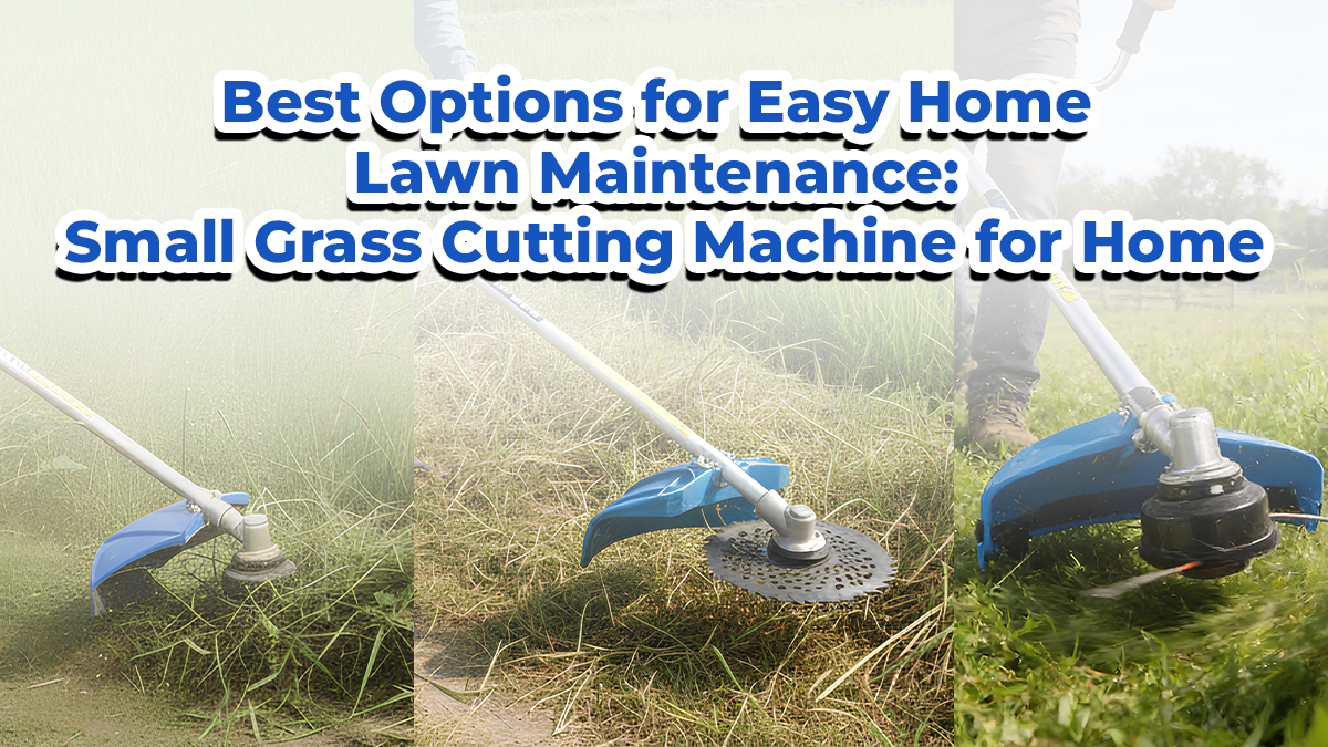Best Options for Easy Home Lawn Maintenance: Small Grass Cutting Machine for Home